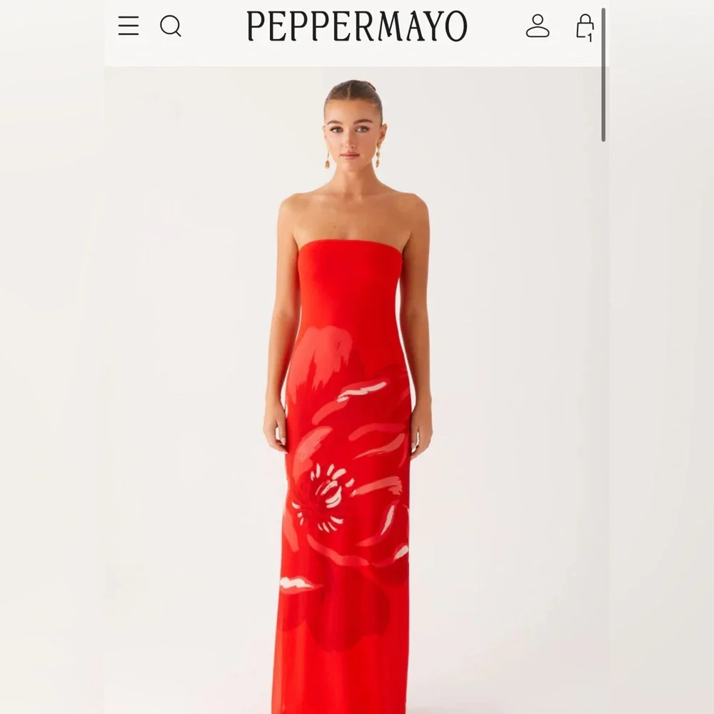 Fabian Maxi Dress - Red never worn BNWT - Picture 3 of 5